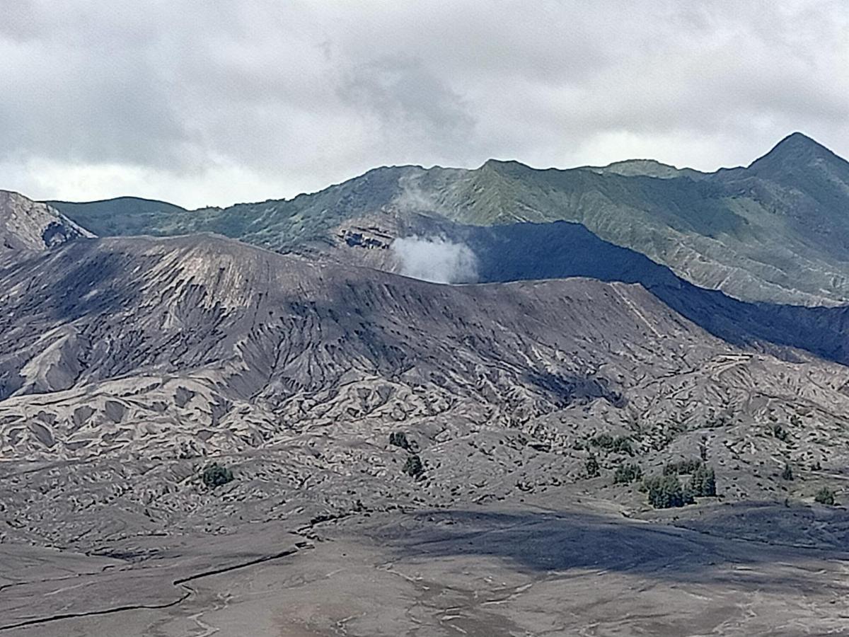 Istana Bromo Resort Екстериор снимка