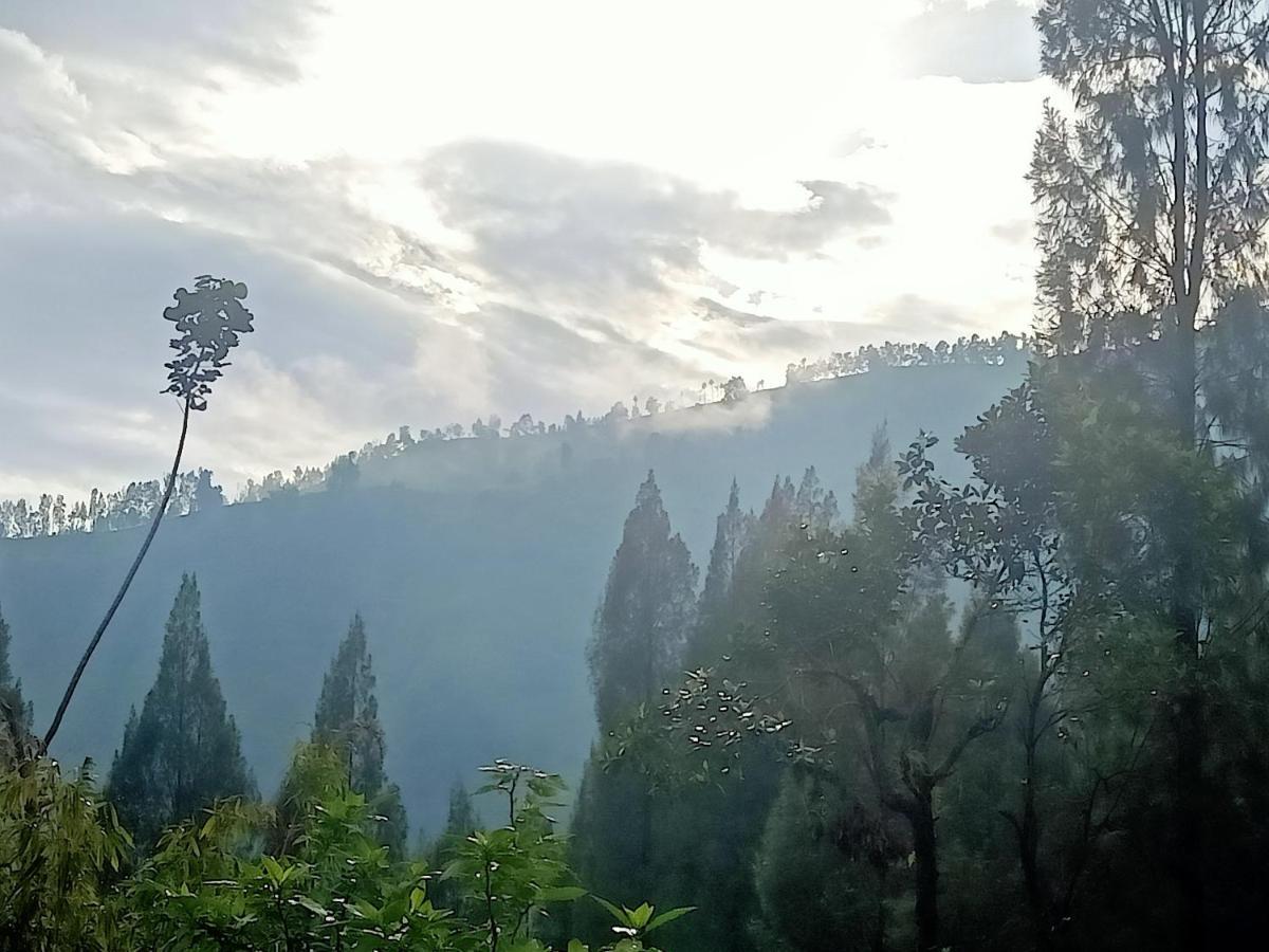 Istana Bromo Resort Екстериор снимка